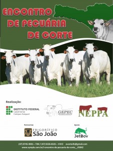 Pecuária de corte_BANNER (curvas)